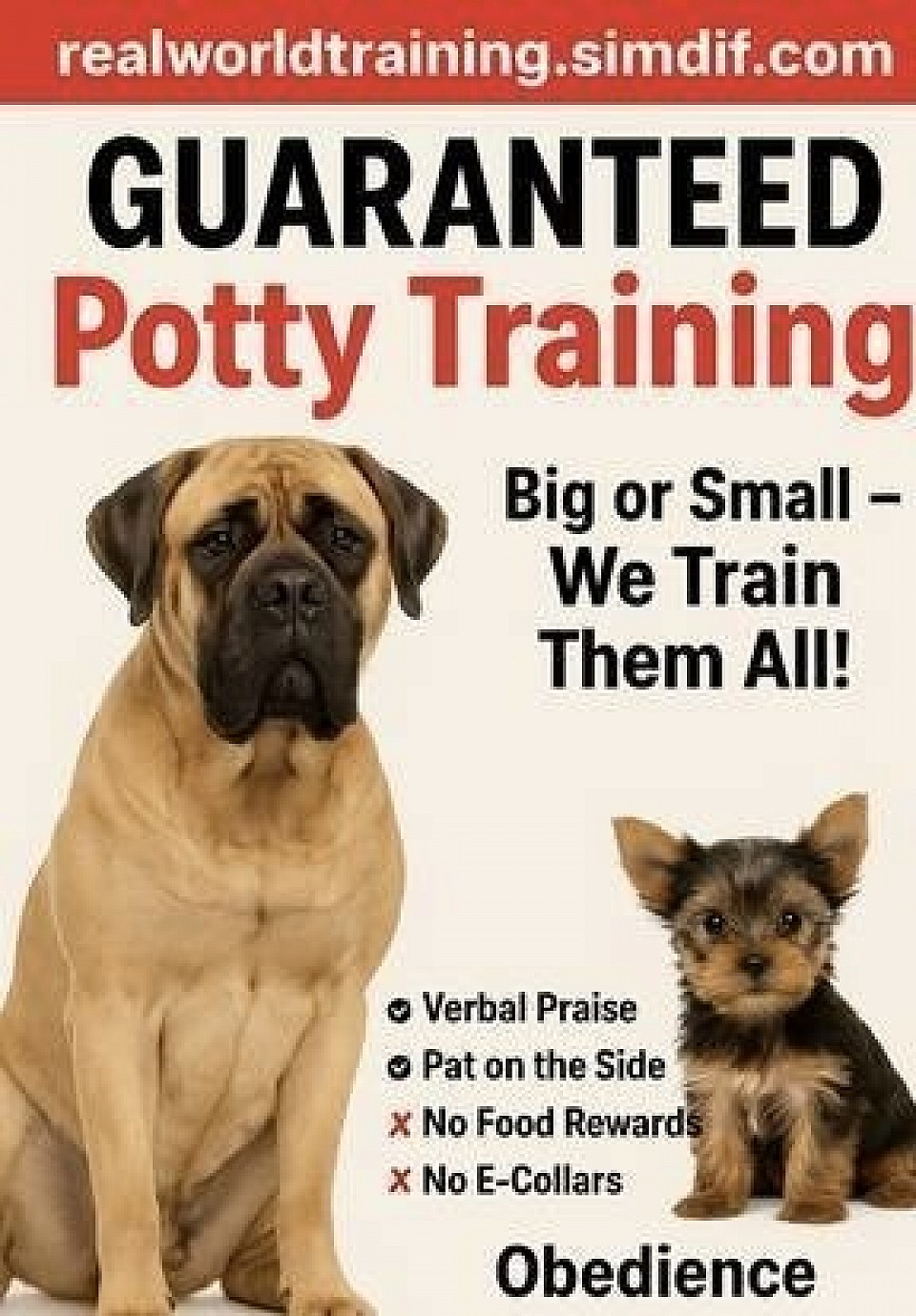 Obedience all Breeds