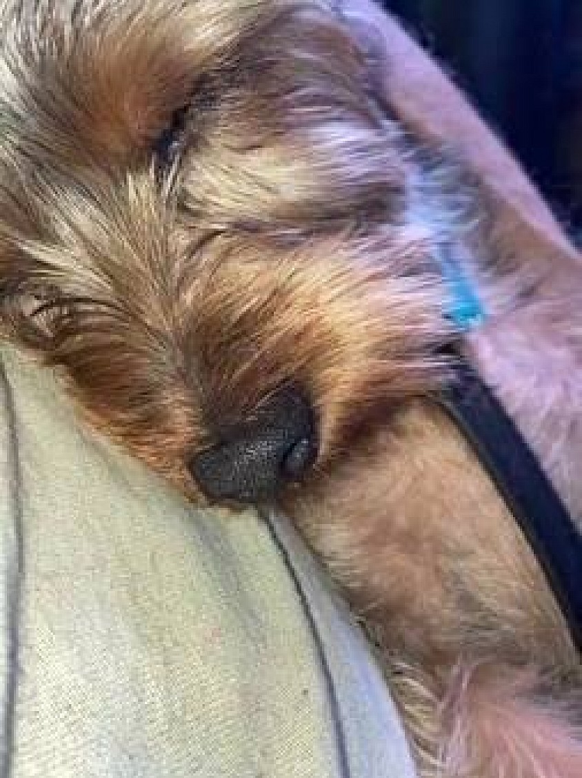 Me & Chovi he’s sleeping 💤