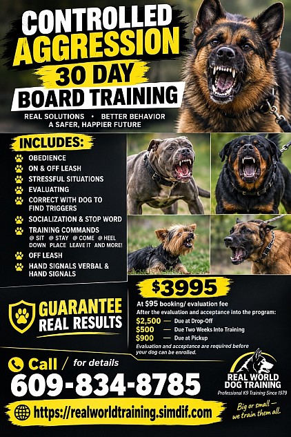 Call ☎️ 609-834-8785